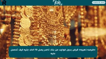 «فرصة ذهبية» قرض بدون فوائد من بنك ناصر يصل 10 آلاف جنيه كيف تحصل عليه